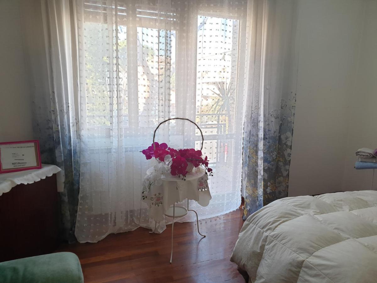 B&B Mary'S House Ciampino Buitenkant foto